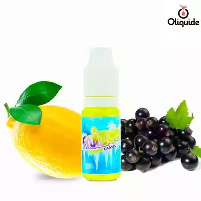 Liquides DLUO Dépassée Citron Cassis de la marque Eliquid France