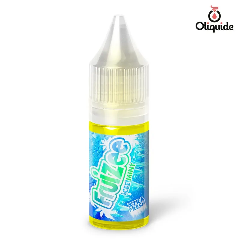 Testez le Icee Mint de Eliquid France et vivez une expérience exceptionnelle