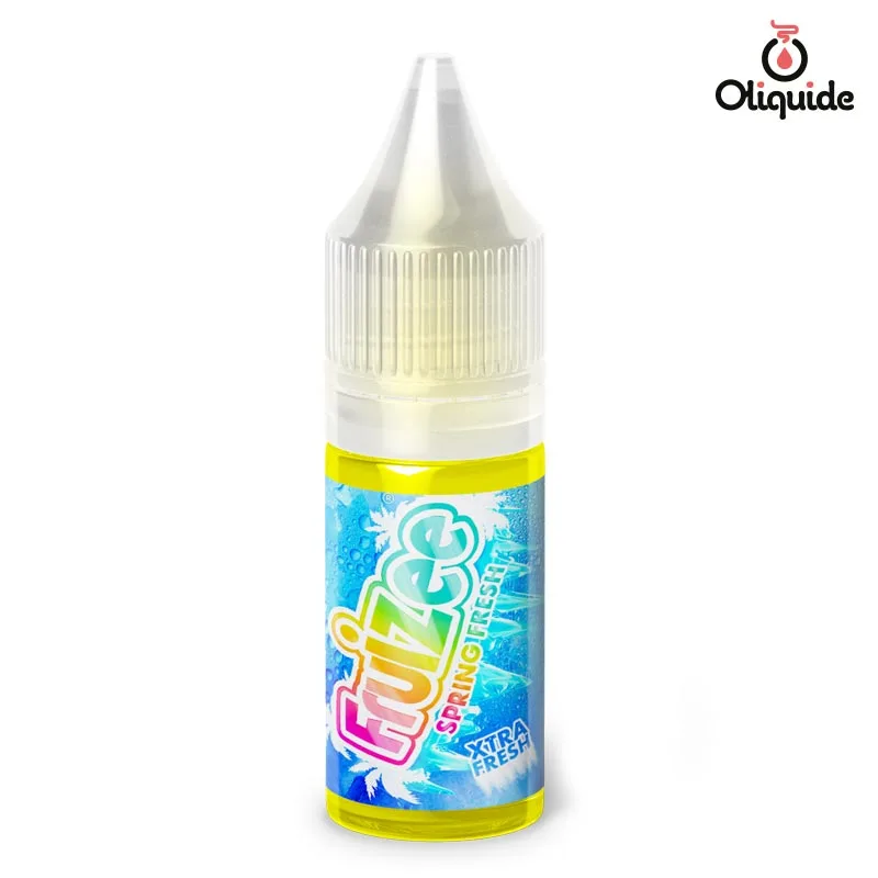 Faites confiance au Spring Fresh de Eliquid France et testez-le