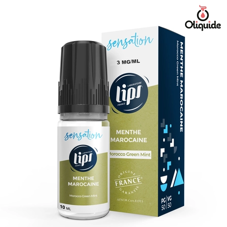 Sensation Menthe Marocaine de la marque Lips