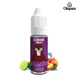Magneto de la collection Juice Heroes 
