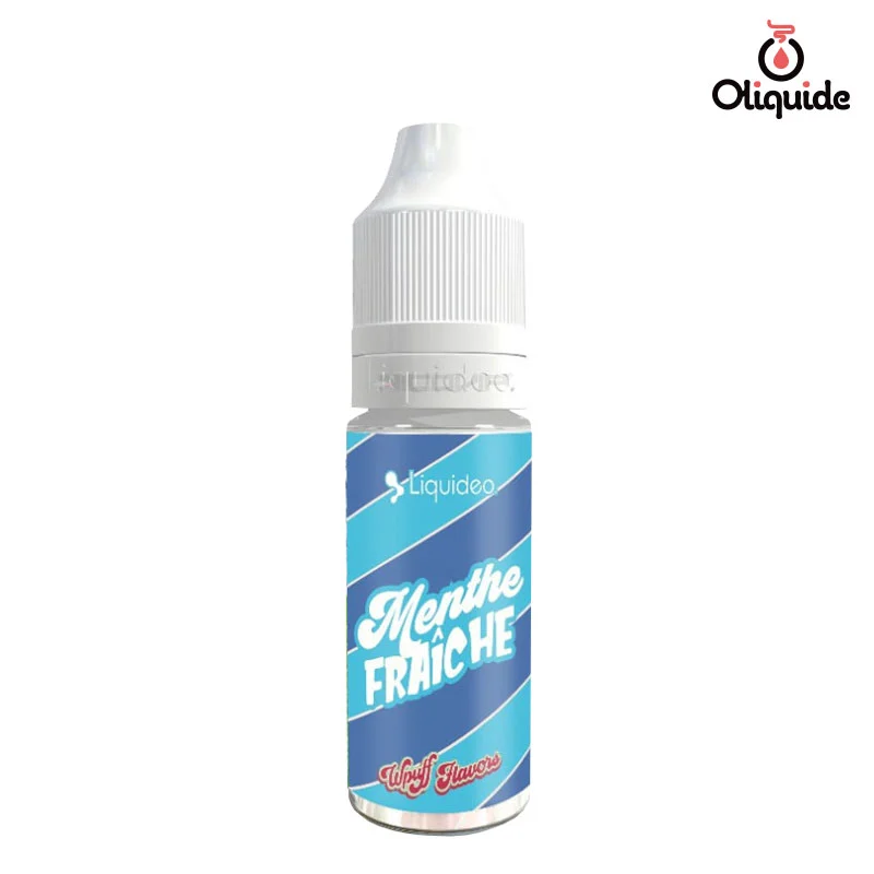Explorez les différentes options du Menthe Fraîche de Liquideo en les testant