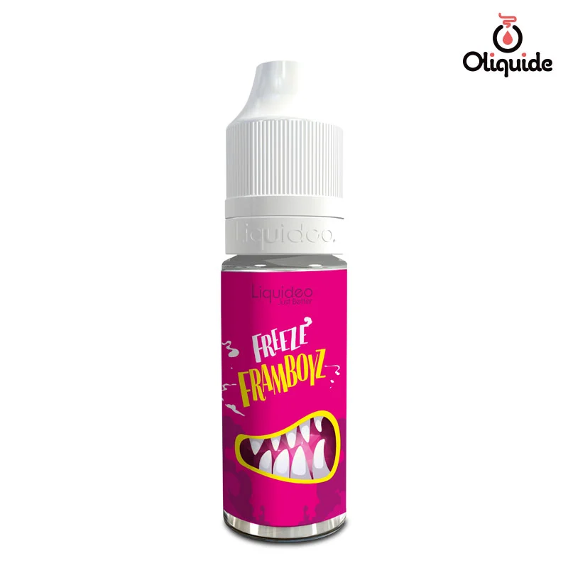 Embarquez pour un voyage avec le Freeze Framboys de Liquidéo