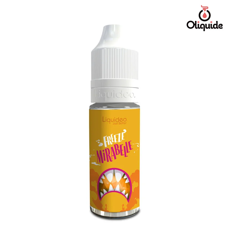 Expérimentez de nouvelles possibilités avec le Freeze Mirabelle de Liquidéo