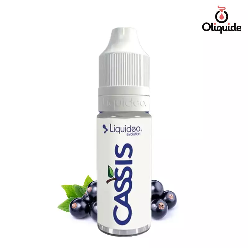 Testez le Cassis de Liquidéo et mesurez ses performances