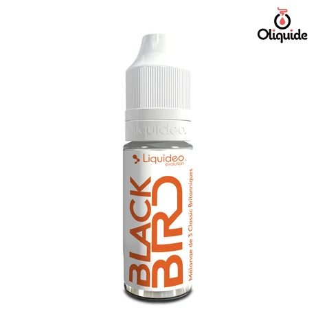 Liquidéo Black Bird de la marque Liquidéo