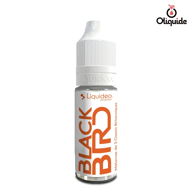 Testez le Black Bird de Liquidéo et exploitez tout son potentiel