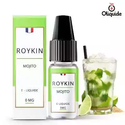 Liquides DLUO Dépassée Mojito de la marque Roykin