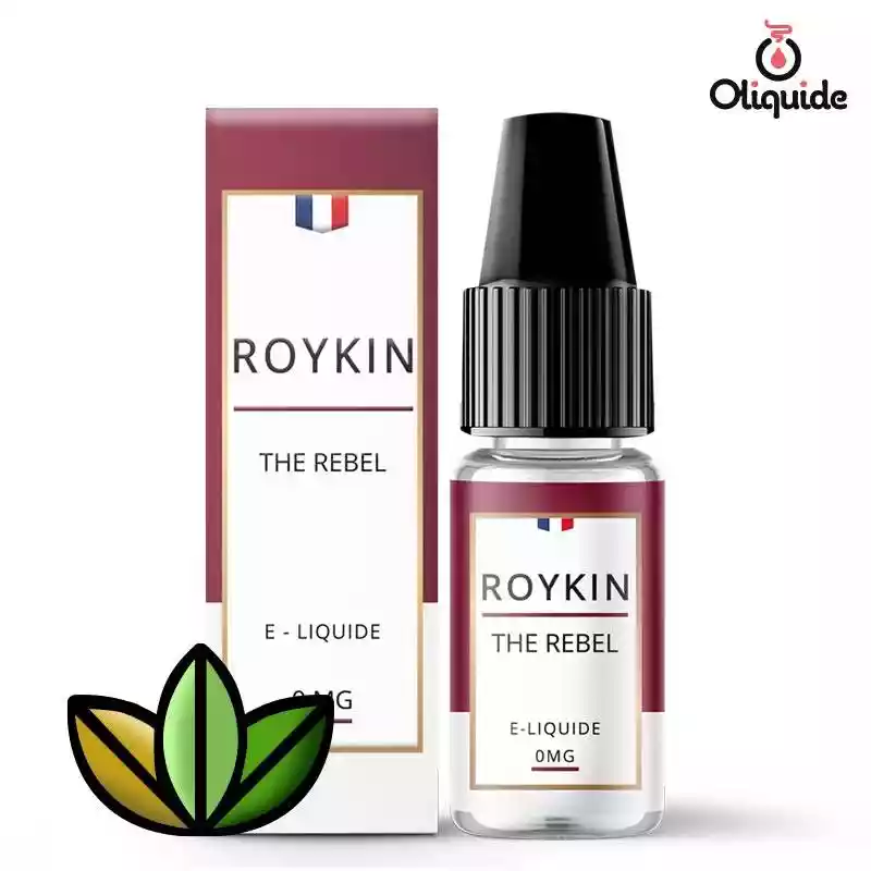 Testez le The Rebel de Roykin pour une approche innovante