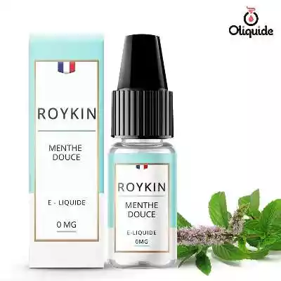 Liquides DLUO Dépassée Menthe Douce de la marque Roykin