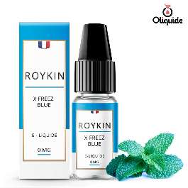 Liquide Roykin Original X Freez Blue pas cher