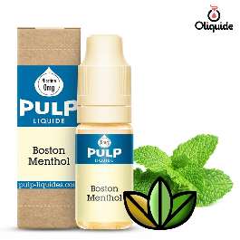 Liquide Pulp Original Boston Menthol pas cher