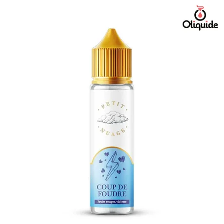 Roykin Petit Nuage 50ml Coup de Foudre 50 ml de la marque Roykin