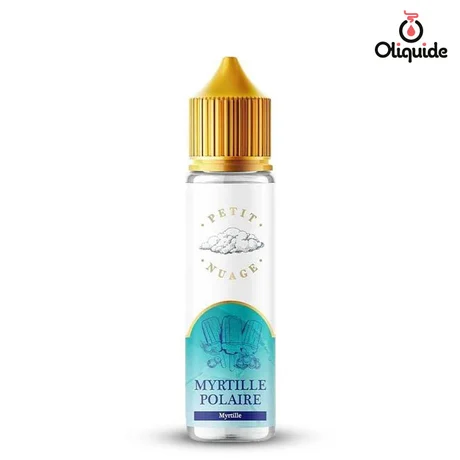 Roykin Petit Nuage 50ml Myrtille Polaire 60 ml de la marque Roykin
