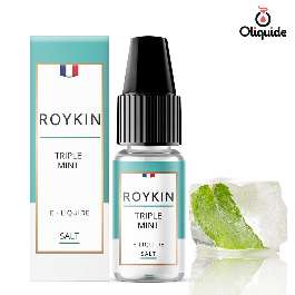 Liquide Roykin Salt Triple Mint pas cher