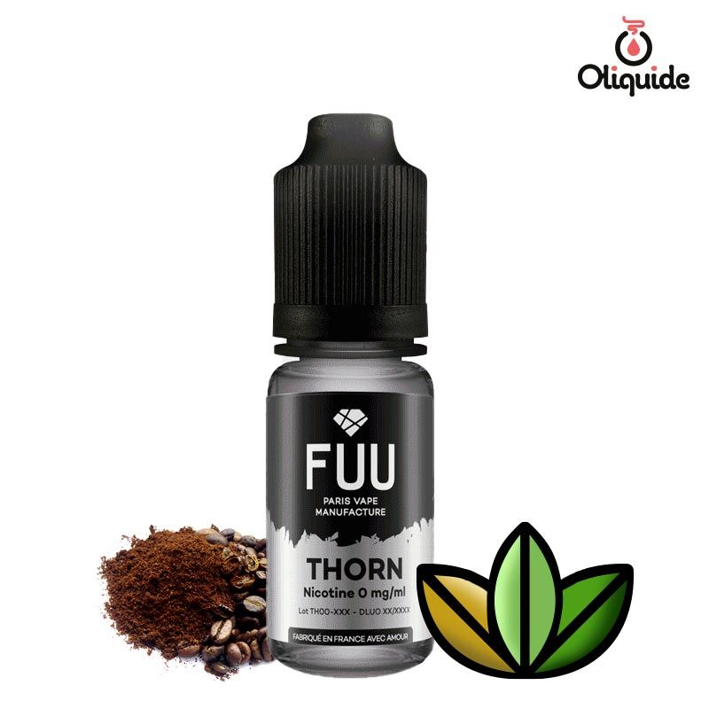 Testez le Thorn de Fuu et observez les résultats