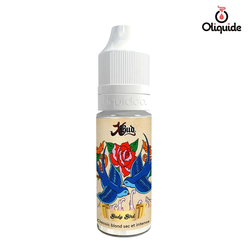 Découvrez le Budy Bird de Liquidéo par vous-même