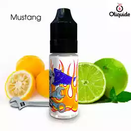 Mustang de la collection XBud 