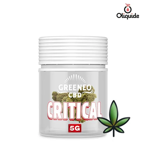 Fleur de CBD Fleur CBD Greeneo Critical 5 g - 13% de la marque Greeneo