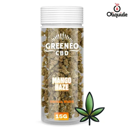 Fleur de CBD Fleur CBD Greeneo Mango Haze 15 g - 6% de la marque Greeneo