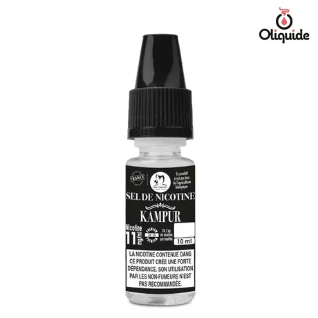 Liquides DLUO Dépassée Kampur au Sel de nicotine de la marque Bioconcept