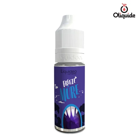 Liquides DLUO Dépassée Freeze Mûre de la marque Liquidéo