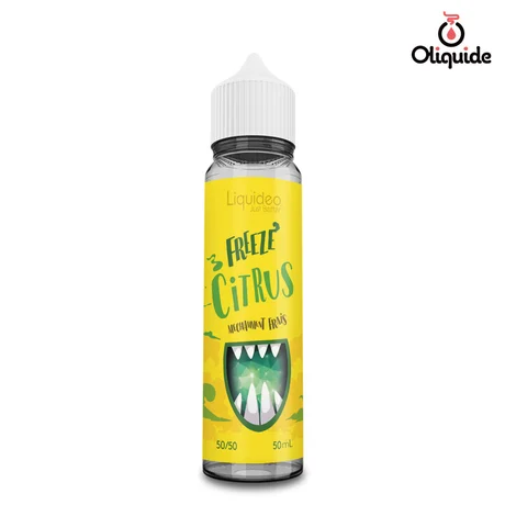 Liquidéo 50ml Freeze Citrus 50 ml de la marque Liquidéo