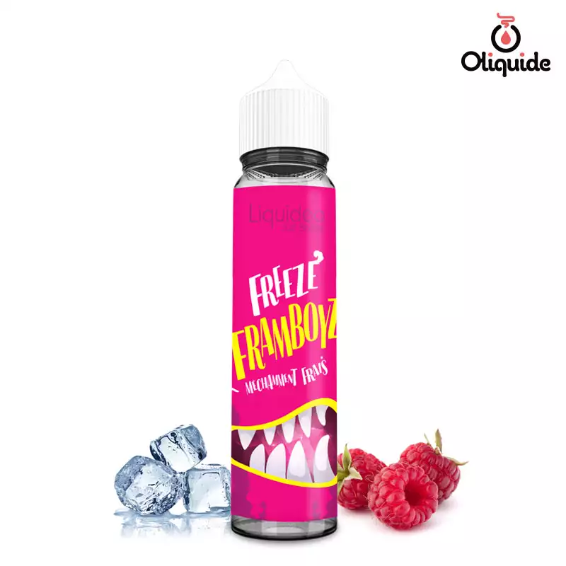 Expérimentez le Freeze Framboyz 50 ml de Liquidéo