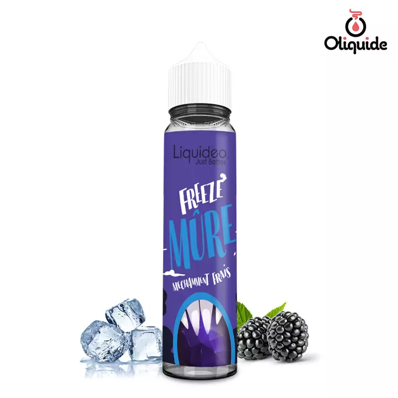 Explorez les fonctionnalités du Freeze Mûre 50 ml de Liquidéo en le testant