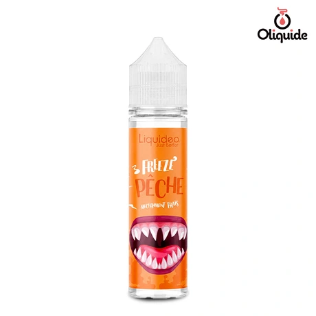 Liquidéo 50ml Freeze Pêche 50 ml de la marque Liquideo