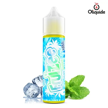 Fruizee 50ml Icee Mint 50 ml de la marque Eliquid France