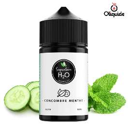 Concombre Menthe 50 ml de la collection Les Jus de Gabriel 