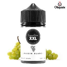 Raisin Blanc 50 ml de la collection Les Jus de Gabriel 