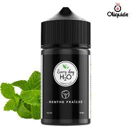 Menthe Fraîche 50 ml de la collection Les Jus de Gabriel 