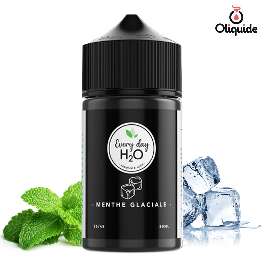 Menthe Glaciale 50 ml de la collection Les Jus de Gabriel 