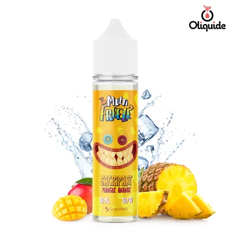 Liquideo Multi Freeze 50ml Sacripant 50 ml de la marque Liquideo