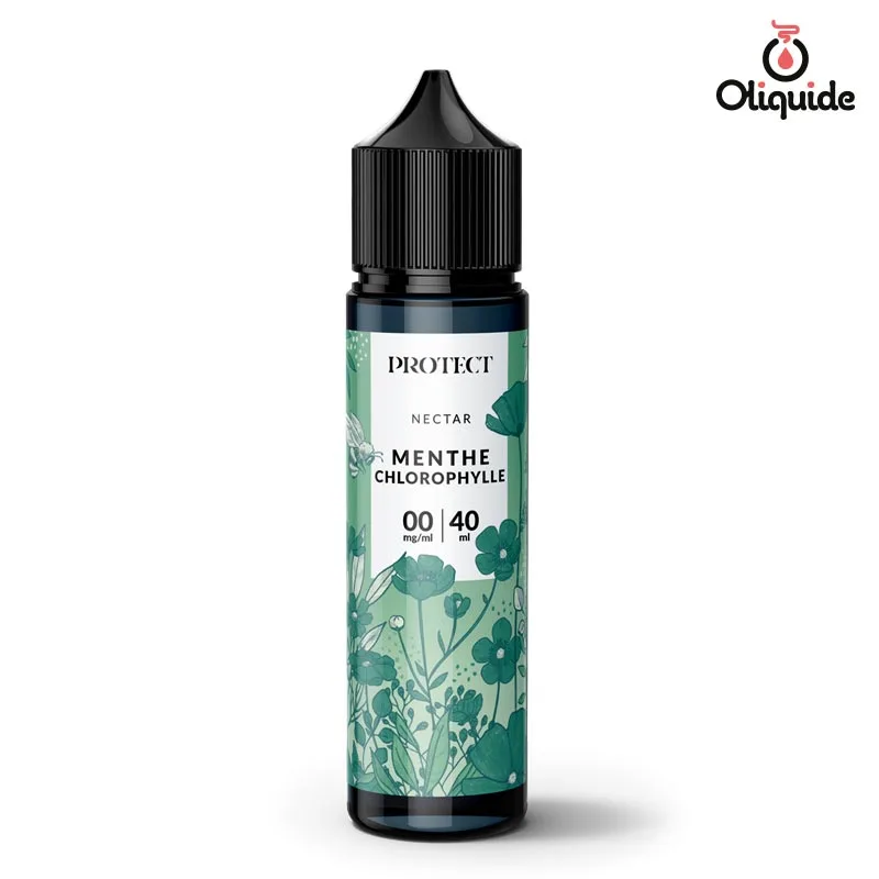 Voyez ce que le Menthe Chlorophylle 40 ml - Protect de Protect a à offrir