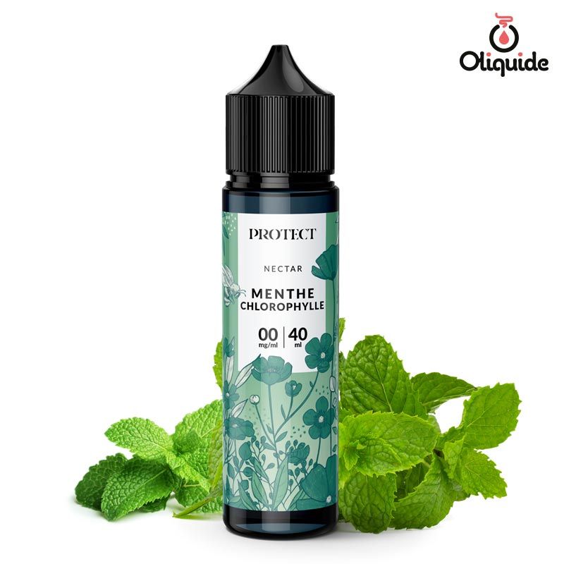 Soyez curieux et testez le Menthe Chlorophylle 40 ml - Protect de Protect