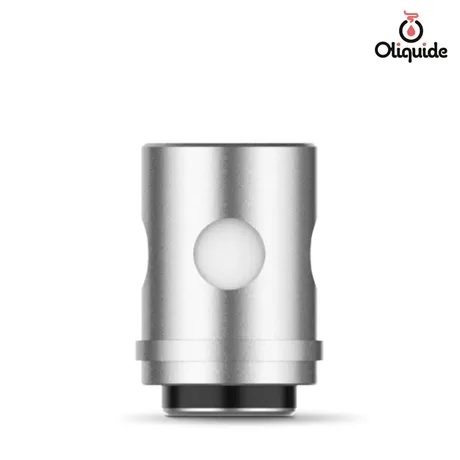 Résistances Vaporesso EUC de la marque Vaporesso