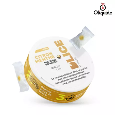 Sachet de Nicotine D'Lice Citron Menthe de la marque D'lice