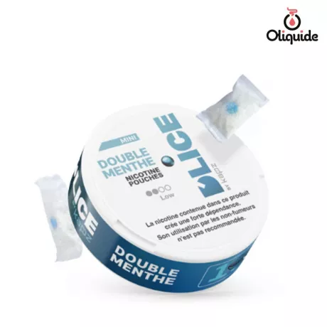 Sachet de Nicotine D'Lice Double Menthe de la marque D'lice