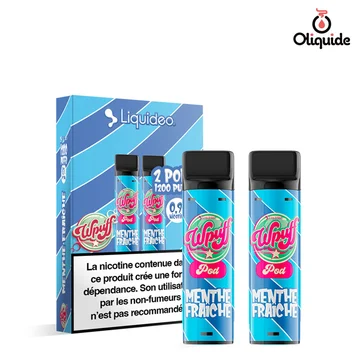 Pod Menthe Fraîche x2 de la collection Wpuff 