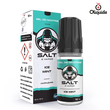 Salt E-Vapor Ice Mint de la marque Lips