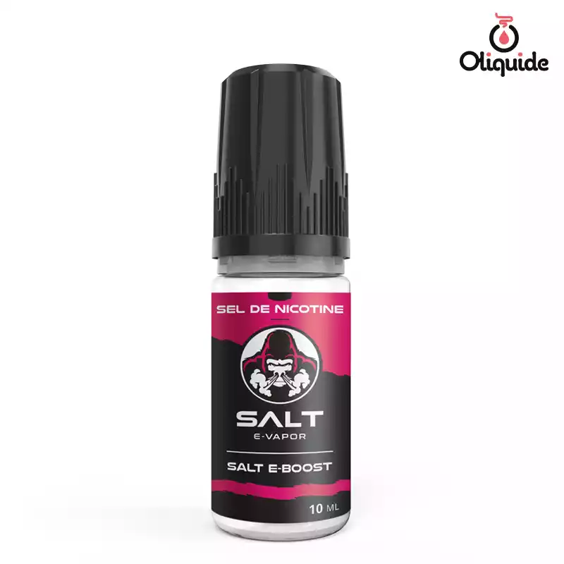 Passez en revue le Booster Salt E-Boost 50/50 de Lips