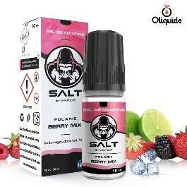 Liquide Salt E-Vapor Polaris Berry Mix pas cher