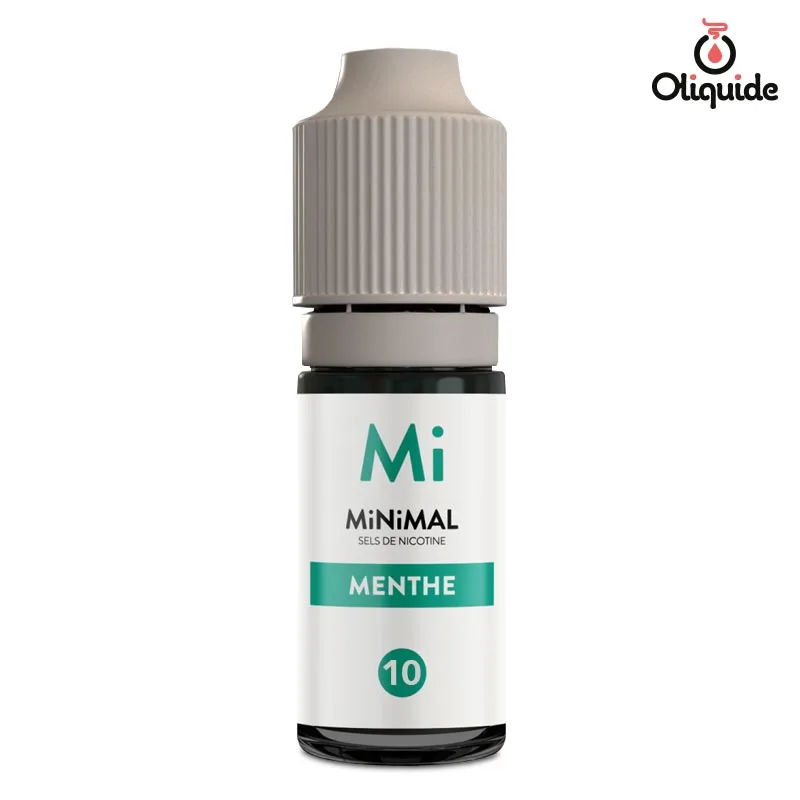 Expérimentez de nouvelles possibilités avec le Menthe de Fuu