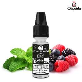 Red Ast au Sel de nicotine de la collection Bioconcept Sel de Nicotine 